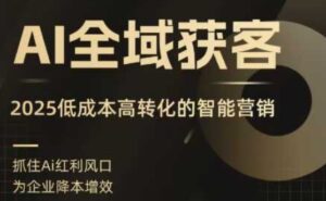 AI全域获客实训营，2025低成本高转化的智能营销，精准找客，高效营销-川川创富网