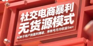 社交电商暴利无货源模式：从种子用户到盈利爆破，单账号月均收益5w+-川川创富网