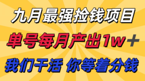 九月最强捡钱项目！ 支付宝分成代运营，我们干活，你分钱！单号月产1w+-川川创富网