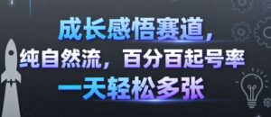 成长感悟赛道,纯自然流,百分百起号率 一天轻松多张-川川创富网