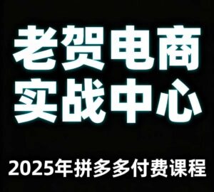 老贺电商2025年拼多多付费课程，用通俗易懂的方法告诉你多多怎么玩-川川创富网