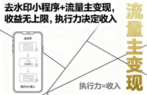 去水印小程序+流量主变现，收益无上限，执行力决定收入-川川创富网