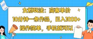 女粉玩法：高客单价，10分钟一条作品，日入1k+操作简单，手机就可以-川川创富网