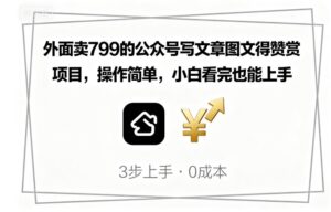 外面卖799的公众号写文章图文得赞赏项目,操作简单,小白看完也能上手-川川创富网