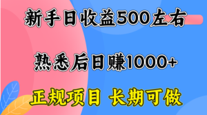 一台电脑，前期日收益300-500，熟练后日入1000左右-川川创富网
