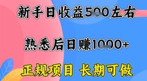 全年可变现项目,收益高无门槛,正规项目,长期可做,一天收益1k+一台电脑在家创业【揭秘】-川川创富网