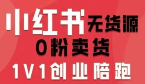 小红书无货源0粉电商课,开店准备、选品策略、笔记撰写、视频剪辑、数据分析、账号打造、资料文档-川川创富网
