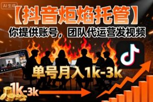【抖音炬焰托管】你提供账号,团队代运营发视频,单号月入1k+【揭秘】-川川创富网