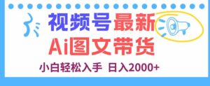 视频号最新AI图文带货,每天几分钟,小白轻松入手,日入2000+-川川创富网