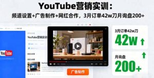 YouTube营销实训:频道设置+广告制作+网红合作,3月订单42w刀月询盘200+-川川创富网