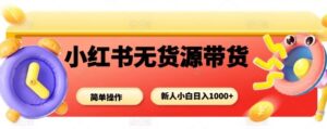 小红书无货源带货项目,简单无脑,新人小白日入多张-川川创富网