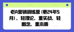 老A营销训练营(更25年10月),轻理论,重实战,轻概念,重本质-川川创富网