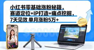 小红书零基础涨粉秘籍,赛道定位+IP打造+痛点挖掘,7天见效 单月涨粉5万+-川川创富网