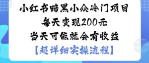 小红书暗黑小众冷门项目每天变现2张当天可能就会有收益-川川创富网
