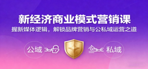 新经济商业模式营销课,握新媒体逻辑,解锁品牌营销与公私域运营之道-川川创富网