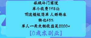 私域冷门赛道:单个收费198米引流模板简单人群精准转化45%单人一天大概收益是1k+-川川创富网