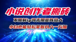 小说创作者搬砖玩法,不限制IP简单无脑 可矩阵无限放大小白也能实现轻…-川川创富网