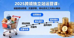 2025跨境独立站运营课:涵盖建站搭建、流量获取、转化优化三大核心模块-川川创富网