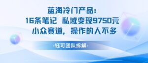 蓝海项目:16条笔记私域变现9750米小众赛道操作的人不多-川川创富网
