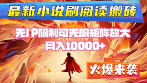 小说阅读搬砖单机每天收益200-400+ 无IP限制可无限矩阵放大 —-川川创富网