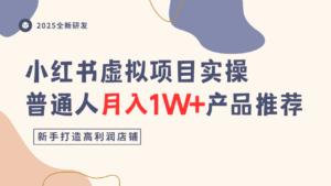 小红书虚拟项目实操指南,普通人月入1W+产品推荐,直接抄-川川创富网