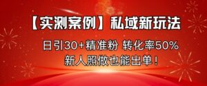 【实测案例】私域新玩法,日引30+精准粉,转化率50%,新人照做也能出单!-川川创富网