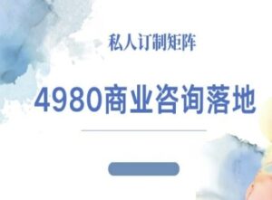 4980商业咨询师落地课程-ip运营高客单教程-川川创富网