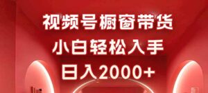 视频号橱窗带货,小白轻松入手,日入2000+-川川创富网