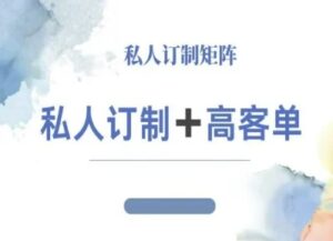 小红书自媒体咨询师IP教程,私人定制+高客单-川川创富网