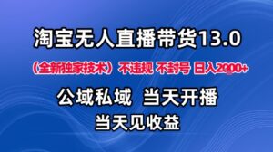 淘宝无人直播13.0,公域私域技术,不封号,不违规布局下半年旺季赛道,日入1K+(独家技术)【揭秘】-川川创富网