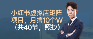 小红书虚拟店矩阵项目,月搞10W(共40节,照抄照做)-川川创富网