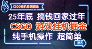 25年底搞钱回家过年,CSGO游戏挂机掘金,纯手机操作超简单-川川创富网