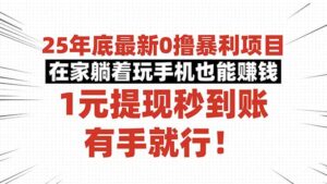 25年底最新0撸暴利项目,在家躺着玩手机也能赚钱,1元提现秒到账,有手…-川川创富网