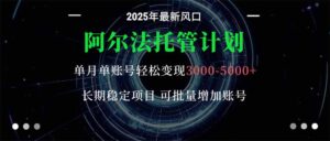 阿尔法托管计划 单账号月入3000-5000,长期稳定项目,新手小白轻松上手。-川川创富网