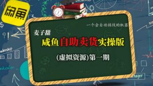麦子甜咸鱼自助卖货实操版(虚拟资源)一个会自动搞钱的机器-川川创富网