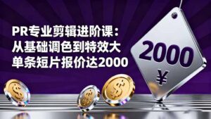 PR专业剪辑进阶课:从基础调色到特效大片的进阶技能,单条短片报价达2000-川川创富网