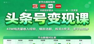 头条号变现课:43W纯流量收入经验,爆款选题,拆文6步法,多平台同步-川川创富网