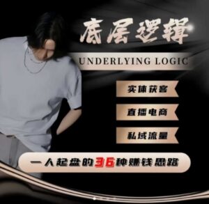 一个人起盘的底层逻辑,私域流量-直播电商-实体获客,一人起盘的36种賺钱思路-川川创富网
