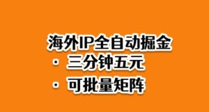 海外ip全自动掘金，2025必做蓝海项目，3分钟落地，矩阵直接开干【揭秘】-川川创富网