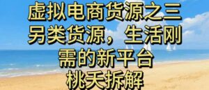 虚拟电商之三另类的货源，生活刚需的新平台-川川创富网