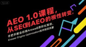 AEO 1.0 课程，从SEO到AE0的基命性转变，手把手教会你用AnswerEngineOptimization技术抢回流量(更新)-川川创富网