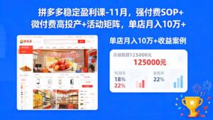 拼多多稳定盈利课-11月,强付费SOP+微付费高投产+活动矩阵,单店月入10万+-川川创富网