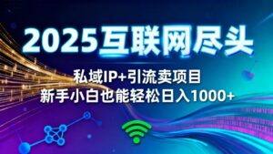 2025网创尽头王炸项目!私域 IP + 精准引流,新手小白在家躺赚日入 1000+-川川创富网