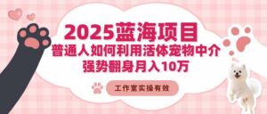 2025蓝海项目：普通人如何利用活体宠物中介，强势翻身月入10万-川川创富网