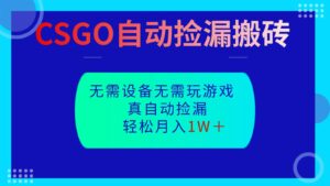 CSGO自动捡漏搬砖，当天操作当天见结果，无需了解游戏，包教包会包落地-川川创富网