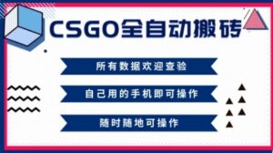 CSGO全自动搬砖，年底钱回家好项目，当天可拿到结果，新手小白轻松月入1W+【揭秘】-川川创富网