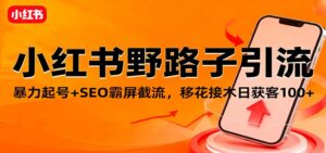小红书野路子引流，暴力起号+SEO霸屏截流，移花接木日获客100+-川川创富网