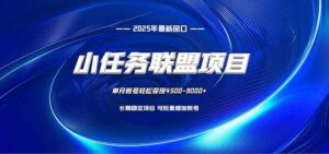 小任务联盟项目：一台电脑每天只需10分钟，轻松简单稳定-川川创富网