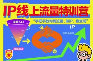 IP线上流量特训营，手把手教你搞流量、做IP、稳变现-川川创富网