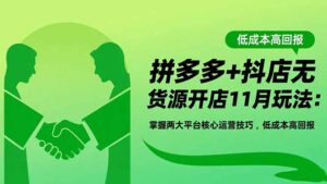 拼多多+抖店无货源开店11月玩法:掌握两大平台核心运营技巧,低成本高回报-川川创富网